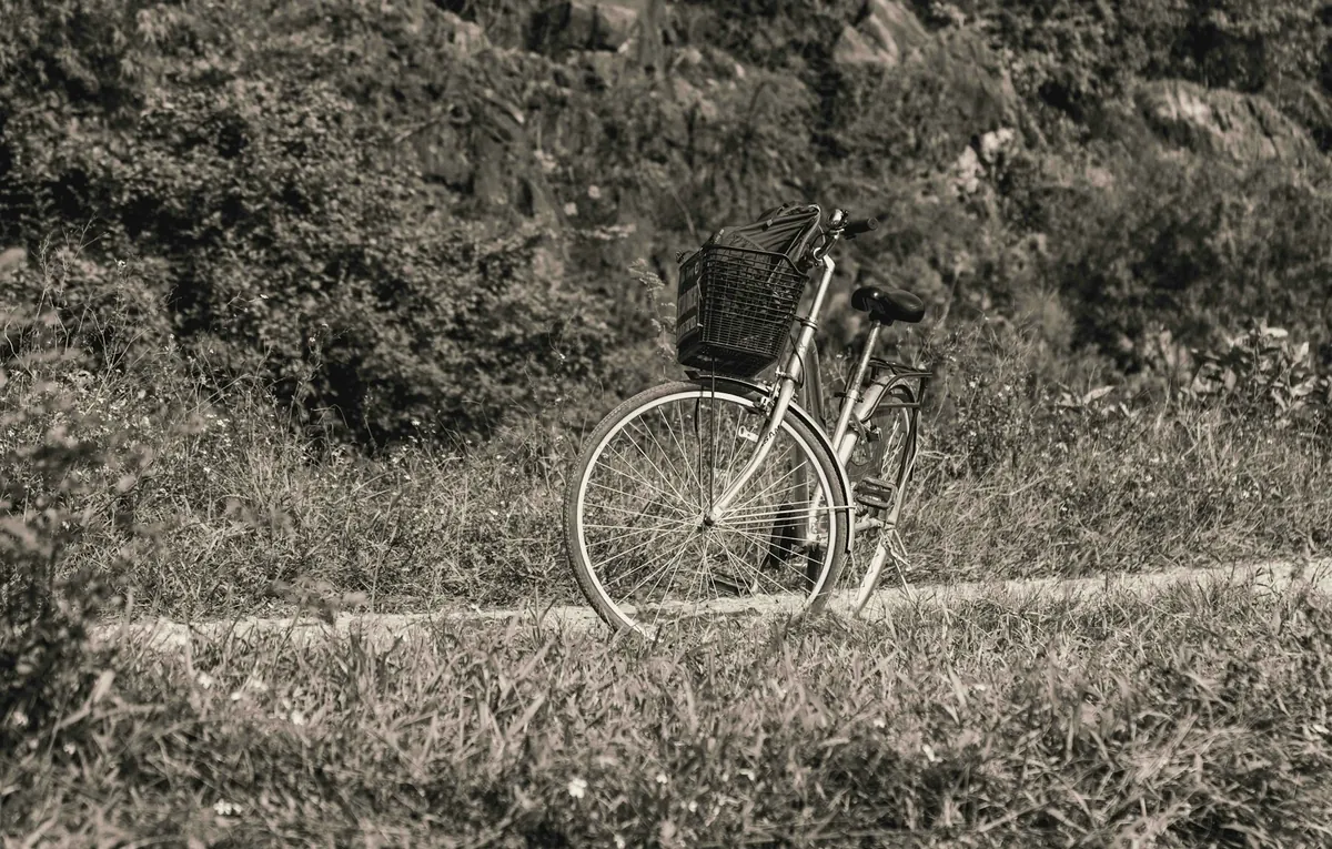 A bicycle with a basket parked beside a grassy path in Ninh Binh
