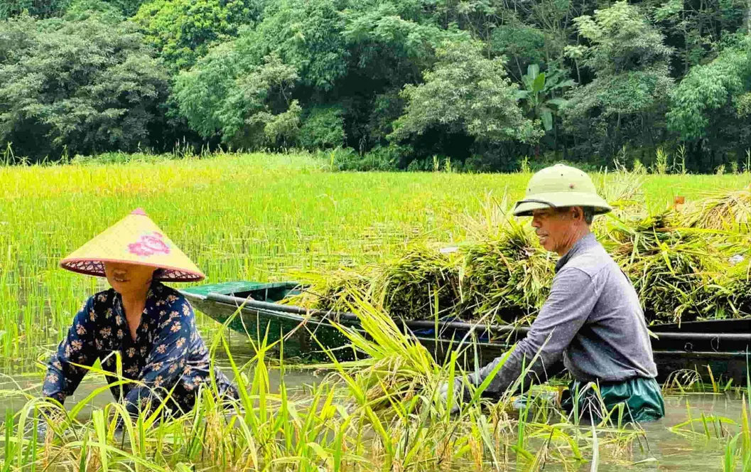Welcoming garden entrance at Vị & Thêu in Tam Coc, Ninh Binh