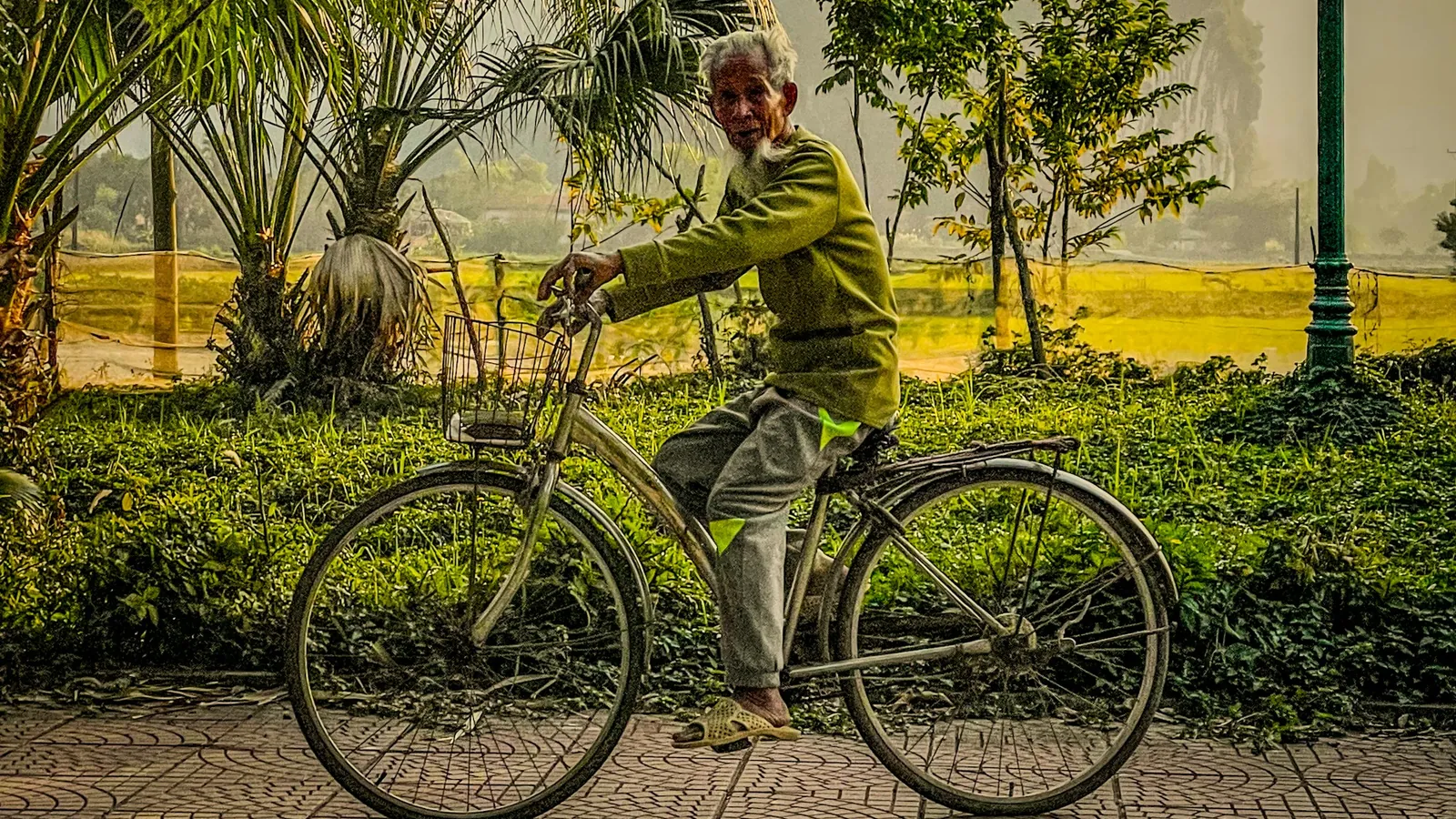 A man with a bicycle beside fields and limestone hills in Ninh Hai, Ninh Binh